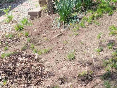 Lawn care service in Shawnee, 66216