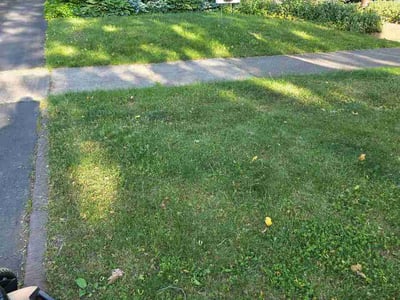 Lawn care service in Rochester, 14607