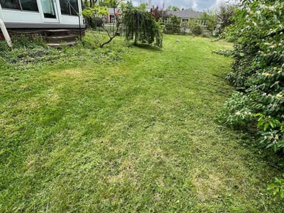Lawn care service in Indianapolis, 46227