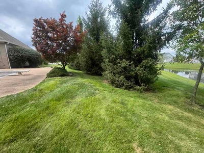 Lawn care service in Greenwood, 46143