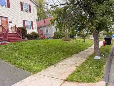 Lawn care service in Hartford, 06120