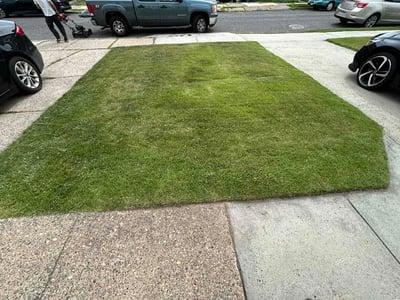 Lawn care service in Philadelphia, 19154