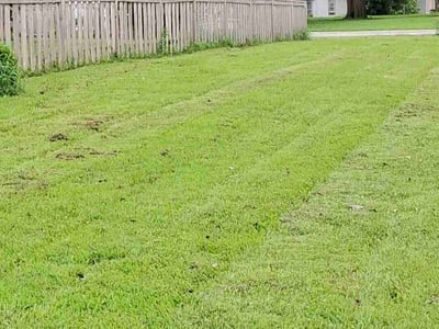 Lawn care service in Des Moines, 50309
