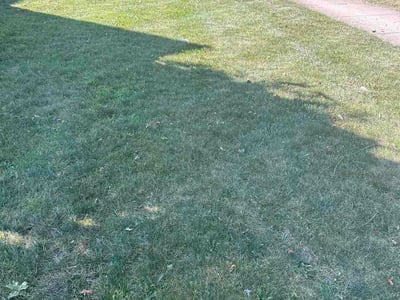 Lawn care service in Canton, 48187