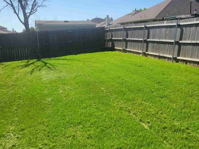 Lawn care service in Forney, 75126
