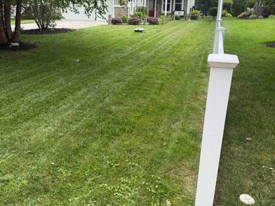 Lawn care service in Essex, 21221