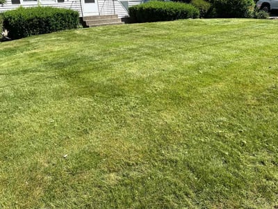 Lawn care service in North Attleborough, 02760