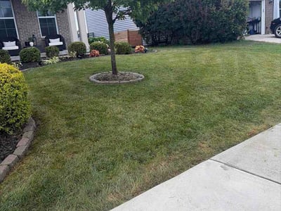 Lawn care service in McCordsville, 46055