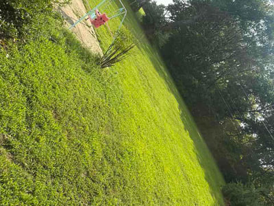 Lawn care service in Kansas City, 64138