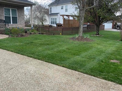 Lawn care service in Louisville, 40245