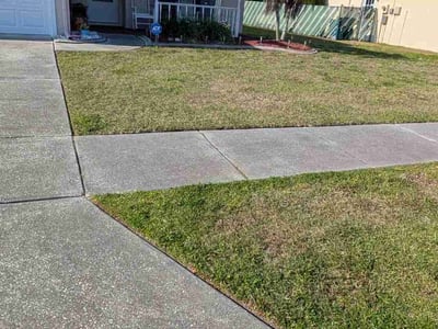 Lawn care service in New Port Richey, 34653