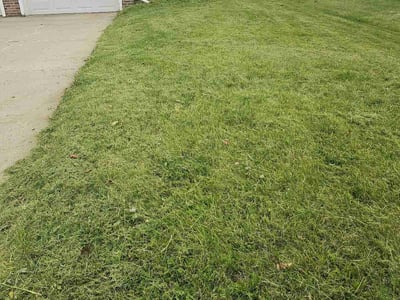 Lawn care service in Omaha, 68152