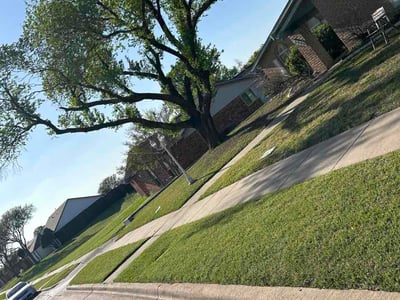 Lawn care service in The Colony, 75056