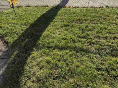 Lawn care service in , 