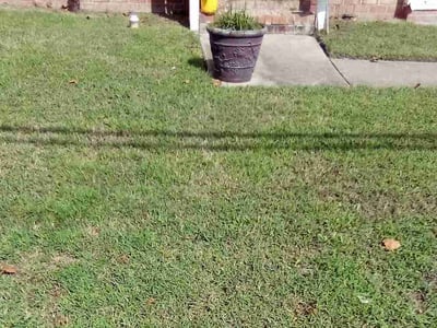 Lawn care service in Newport News, 23607