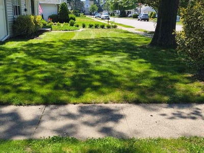 Lawn care service in Massapequa Park, 11762