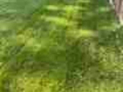 Lawn care service in Centreville, 20120