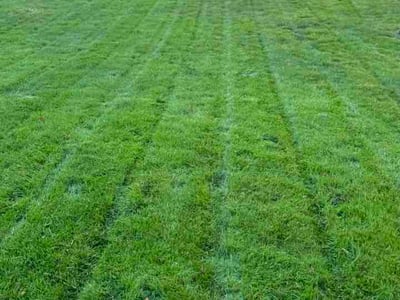 Lawn care service in Portland, 97220