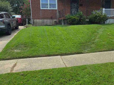 Lawn care service in Catonsville, 21228