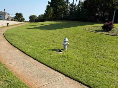 Lawn care service in McDonough, 30253