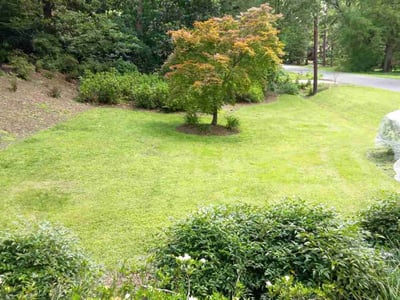 Lawn care service in Durham, 27707