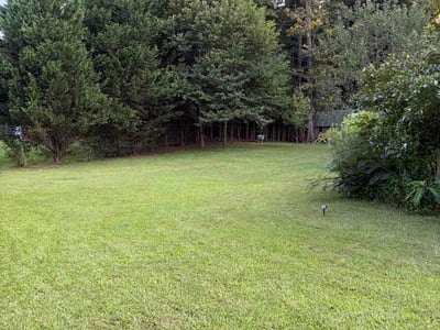 Lawn care service in Ellenwood, 30294