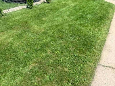 Lawn care service in Chicago, 60637