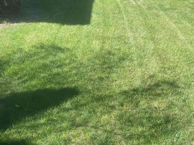 Lawn care service in Greeley, 80634