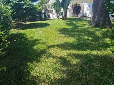 Lawn care service in Seminole, 33772