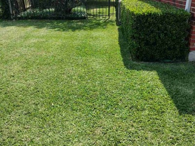 Lawn care service in Lockhart, 78644