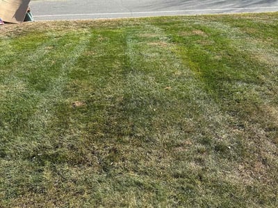 Lawn care service in Jefferson, 07849