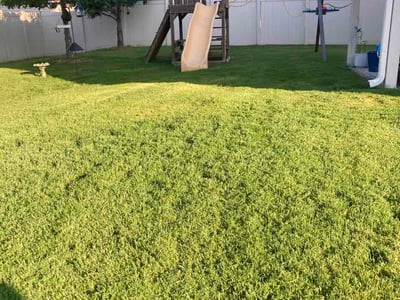 Lawn care service in Knightdale, 27545