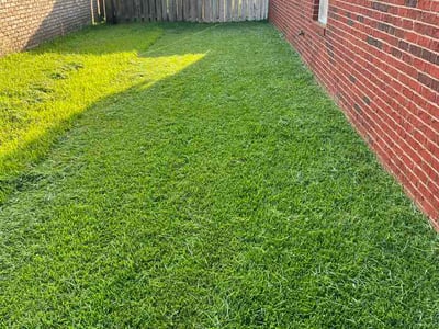 Lawn care service in Panama City, 32405