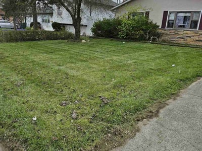 Lawn care service in Columbus, 43229