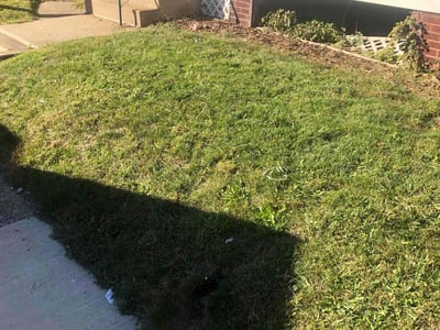 Lawn care service in Canton, 44708