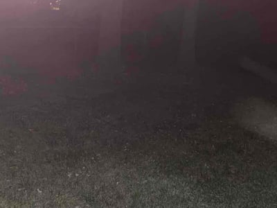 Lawn care service in Arnold, 63010