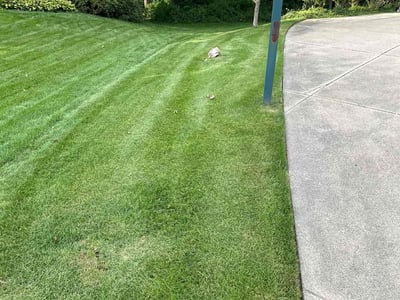 Lawn care service in Rockford, 49341
