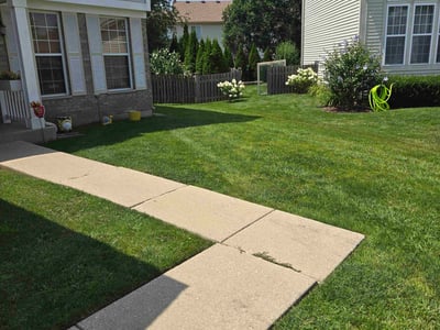 Lawn care service in Plainfield, 60544