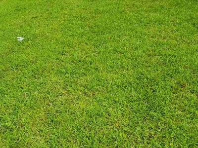 Lawn care service in Kingsland, 31548