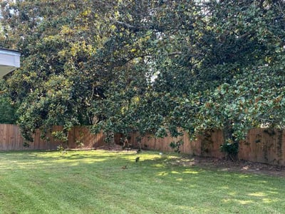 Lawn care service in Baton Rouge, 70817