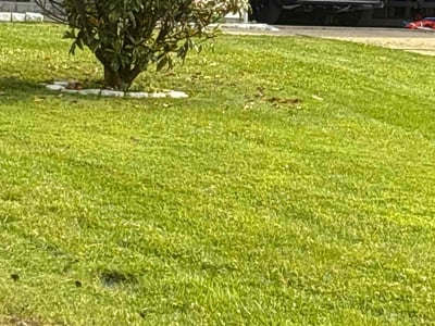 Lawn care service in St. Peters, 63376