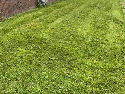 Lawn care service in Springfield, 62704