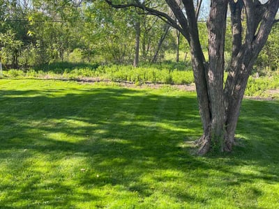 Lawn care service in East Lansing, 48823
