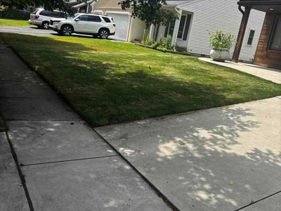 Lawn care service in Maumee, 43537