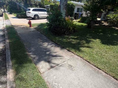 Lawn care service in Fort Lauderdale, 33315