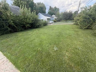 Lawn care service in Falls Church, 22043