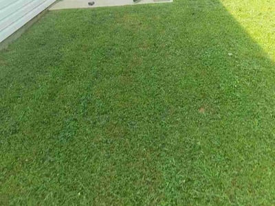Lawn care service in Greer, 29651