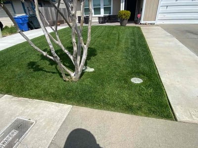 Lawn care service in Sacramento, 95838