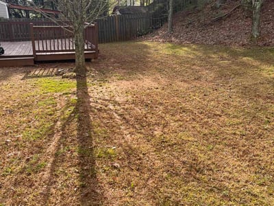 Lawn care service in , 