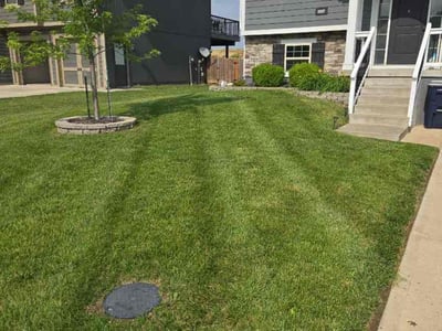 Lawn care service in Kansas City, 64156
